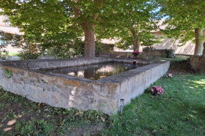 Miniature Location salle Arles (Bouches-du-Rhône) - Mas de Bonnafoux #28 Deux vasques blanches sur un plan en bois clair, avec deux miroirs ronds suspendus au mur.