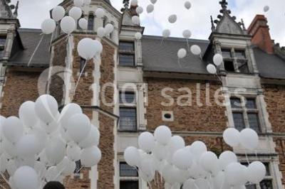 Location salle Orée d'Anjou (Maine-et-Loire) - Château De La Colaissière #23