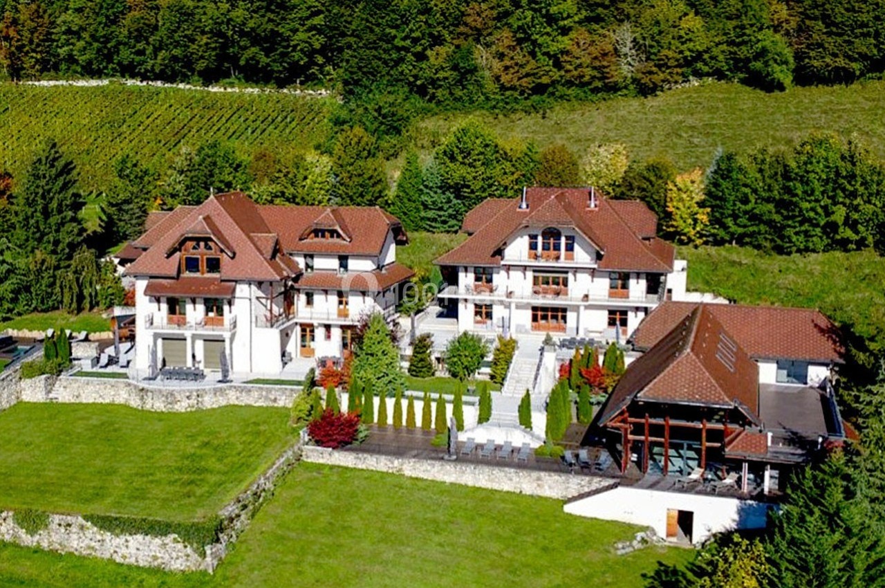 Vue aérienne de deux grandes maisons avec toits en tuiles rouges, entourées de jardins et de verdure.