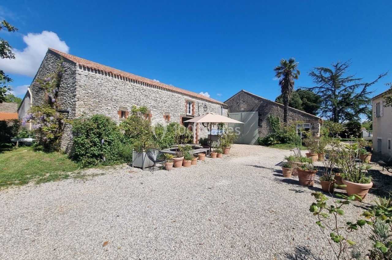 Cour extérieure avec graviers, pots de plantes, parasol, et bâtiments en pierre sous un ciel bleu.