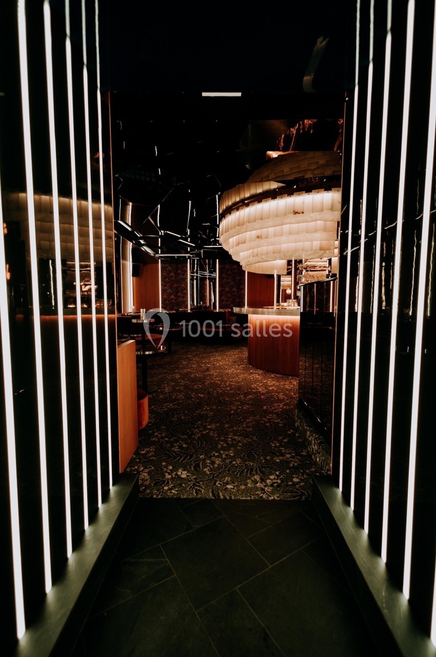 Entrée sombre d'un espace moderne avec éclairage linéaire et mobilier en bois dans un décor élégant.