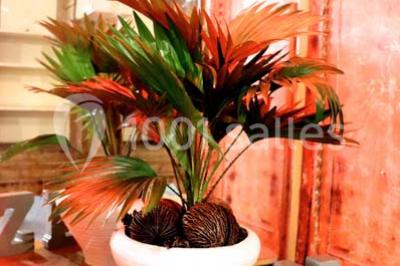 Location salle Paris 9 (Paris) - Le Salon Lafayette #24