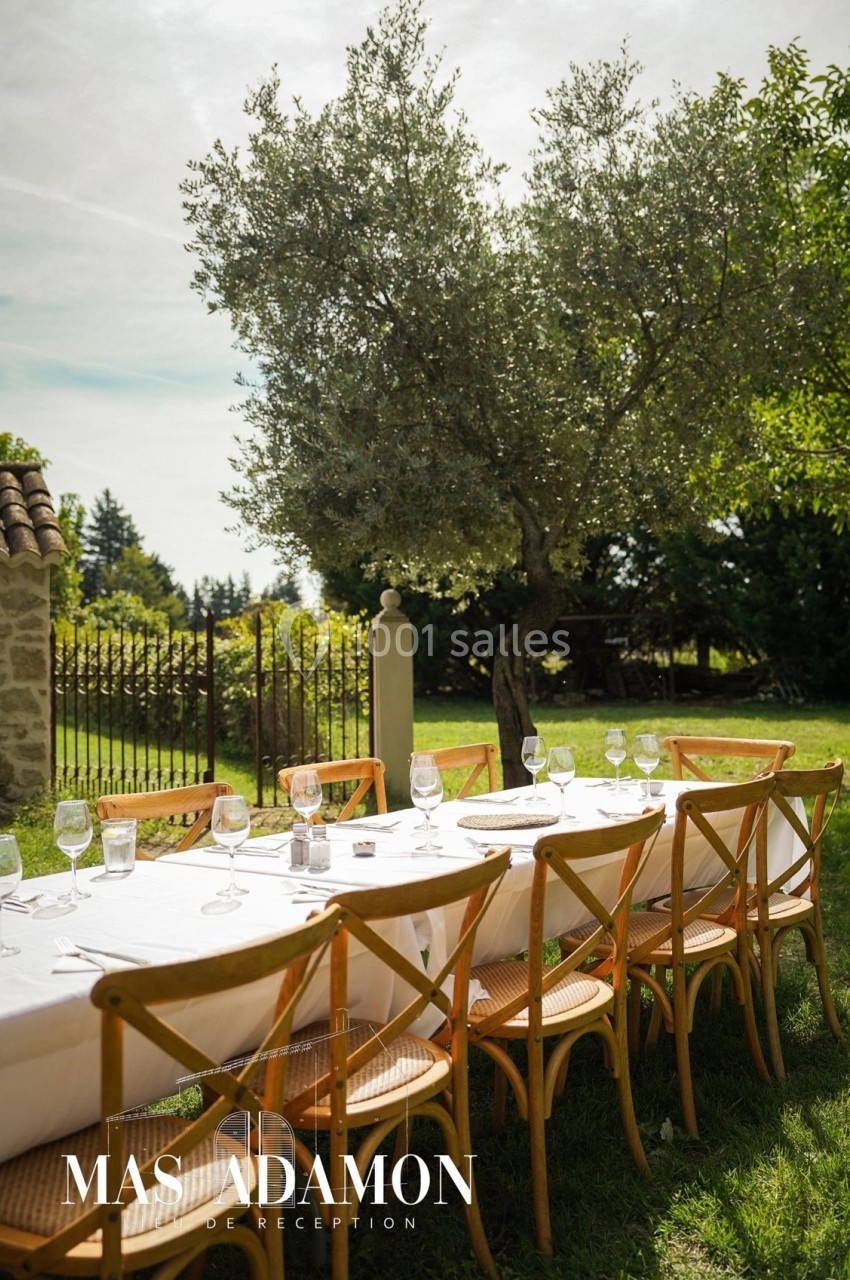 Table dressée en extérieur avec chaises en bois, sous un olivier, dans un jardin ensoleillé et clôturé.