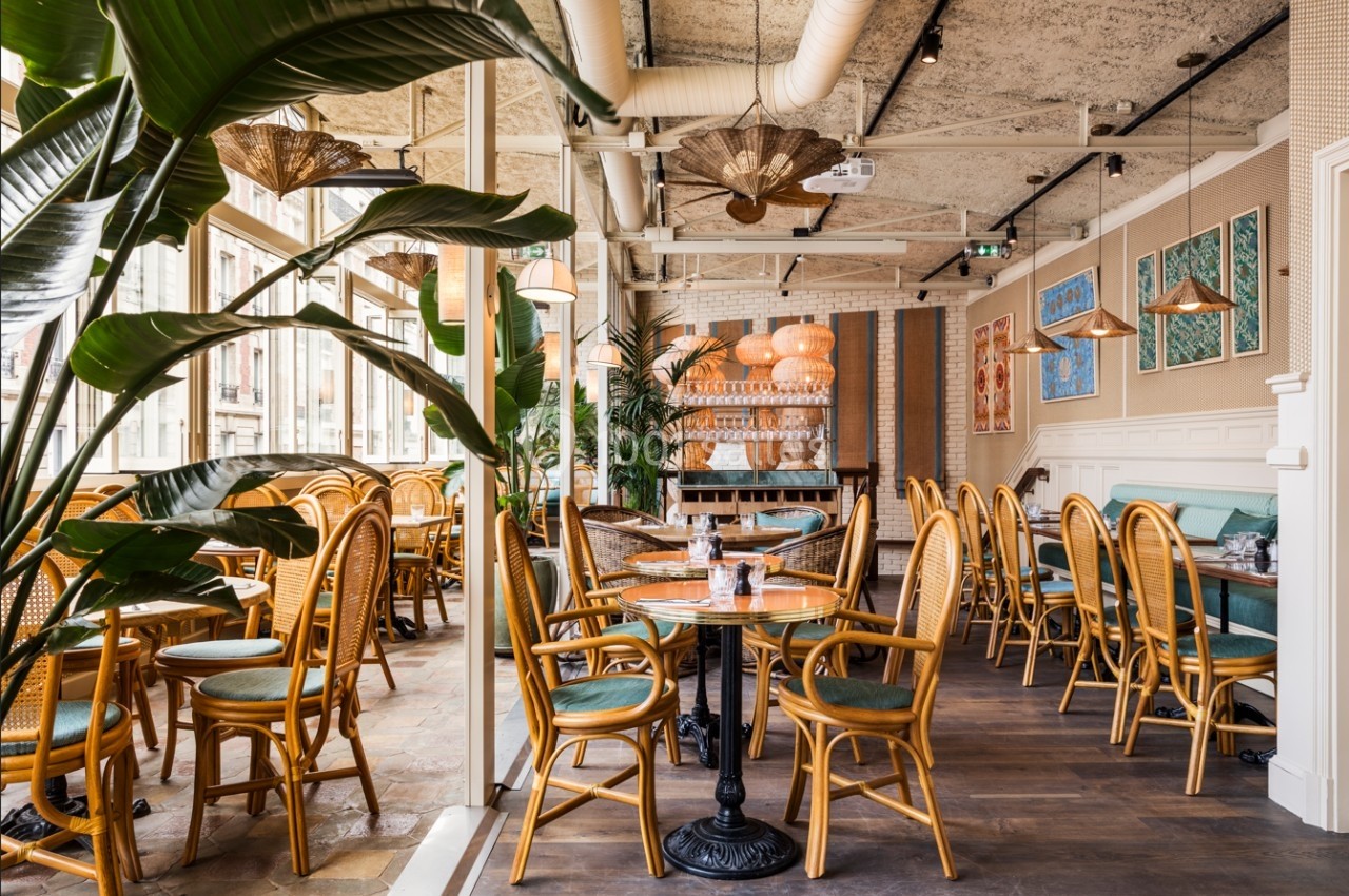 Salle de restaurant lumineuse avec mobilier en rotin, plantes vertes et décorations murales colorées.