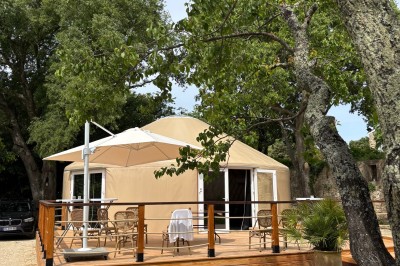 Tente de style yourte avec terrasse en bois, entourée d'arbres dans un cadre naturel.