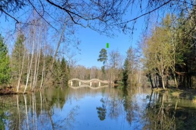 Location salle Saint-Dizier (Haute-Marne) - L'Etang la Marina #10