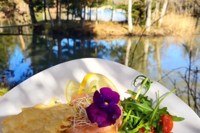 Location salle Saint-Dizier (Haute-Marne) - L'Etang la Marina #10