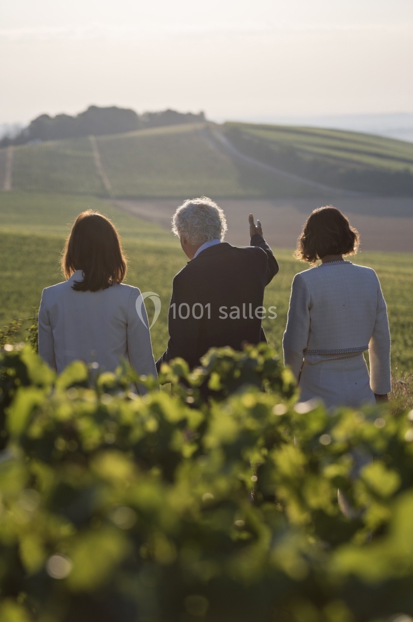 Trois personnes de dos observent un paysage de vignobles au coucher du soleil.