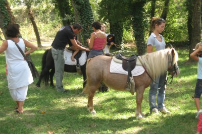 Miniature Location salle Beaucaire (Gard) - Le Fer à Cheval #7 Des enfants et des adultes préparent des poneys avec des selles dans un espace herbeux entouré d'arbres.