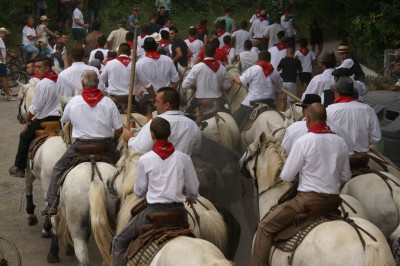 Miniature Location salle Beaucaire (Gard) - Le Fer à Cheval #4 Des enfants et des adultes préparent des poneys avec des selles dans un espace herbeux entouré d'arbres.