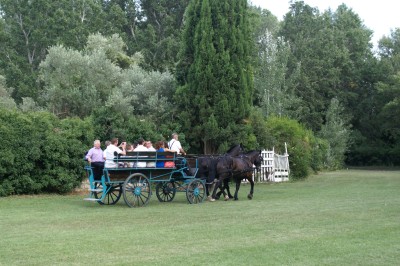 Miniature Location salle Beaucaire (Gard) - Le Fer à Cheval #6 Des enfants et des adultes préparent des poneys avec des selles dans un espace herbeux entouré d'arbres.