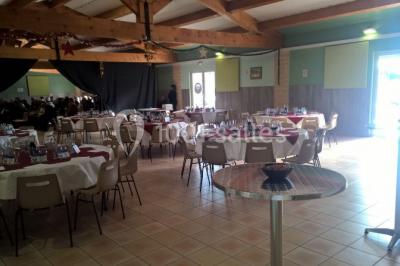 Un jardin avec un arbuste central, des arbres en pot, une clôture en bois et des ombres projetées au sol.