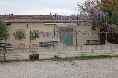 Un jardin avec un arbuste central, des arbres en pot, une clôture en bois et des ombres projetées au sol.