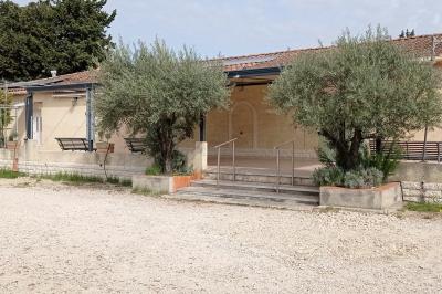 Un jardin avec un arbuste central, des arbres en pot, une clôture en bois et des ombres projetées au sol.