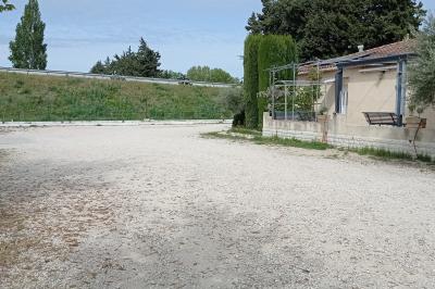 Un jardin avec un arbuste central, des arbres en pot, une clôture en bois et des ombres projetées au sol.