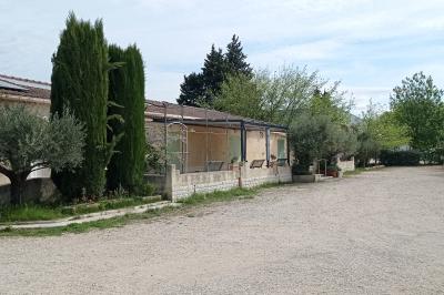 Un jardin avec un arbuste central, des arbres en pot, une clôture en bois et des ombres projetées au sol.