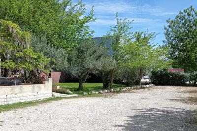 Un jardin avec un arbuste central, des arbres en pot, une clôture en bois et des ombres projetées au sol.
