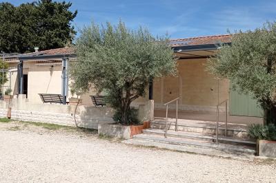 Un jardin avec un arbuste central, des arbres en pot, une clôture en bois et des ombres projetées au sol.