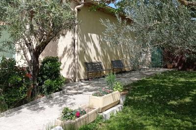 Un jardin avec un arbuste central, des arbres en pot, une clôture en bois et des ombres projetées au sol.