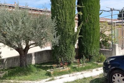 Un jardin avec un arbuste central, des arbres en pot, une clôture en bois et des ombres projetées au sol.