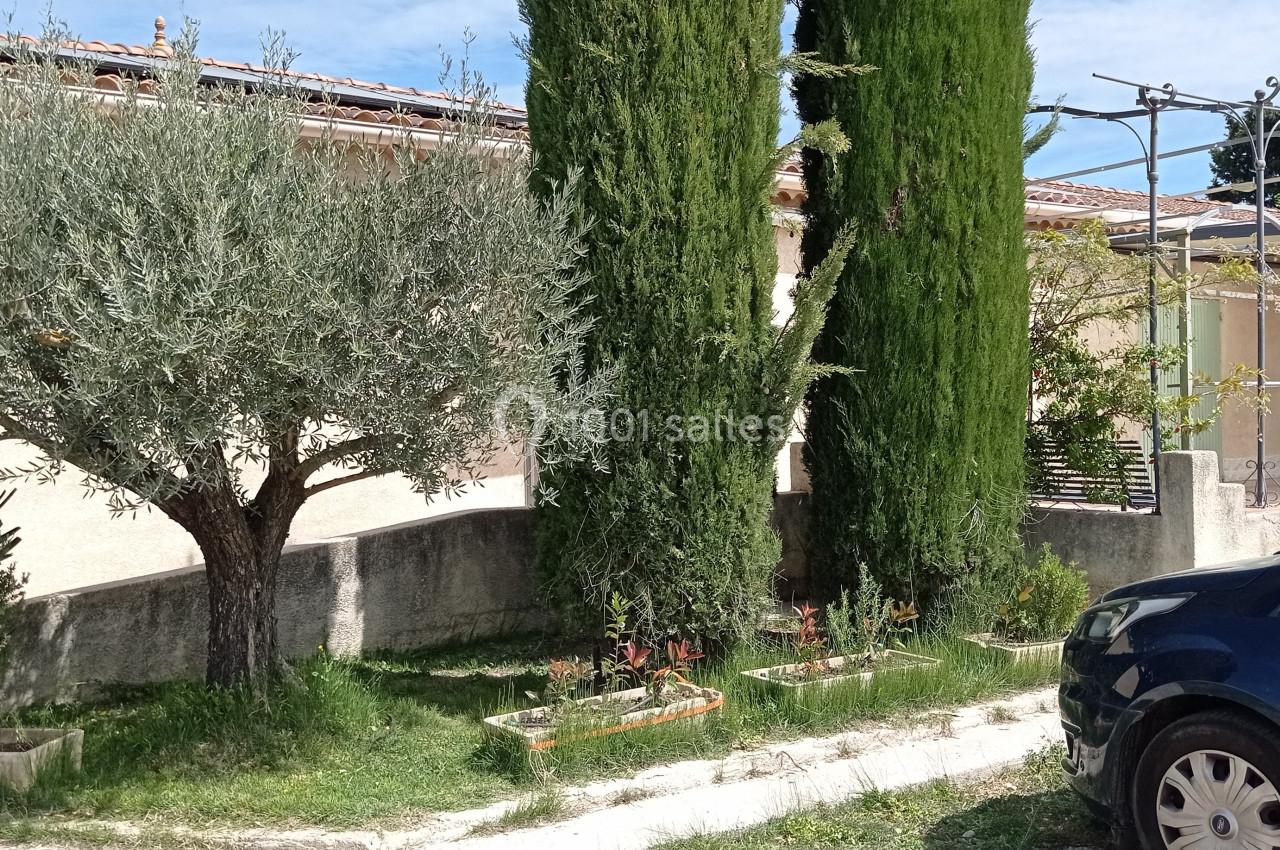 Un jardin avec un olivier, des cyprès, des arbustes et une voiture garée devant une maison beige.
