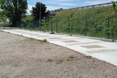 Un jardin avec un arbuste central, des arbres en pot, une clôture en bois et des ombres projetées au sol.