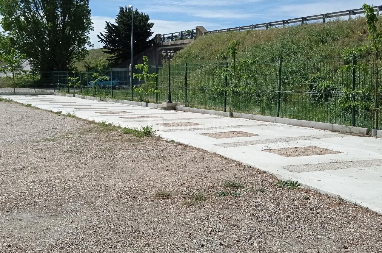 Allée en béton bordée de jeunes arbres et d'une clôture, située près d'une pente herbeuse et d'un pont routier.