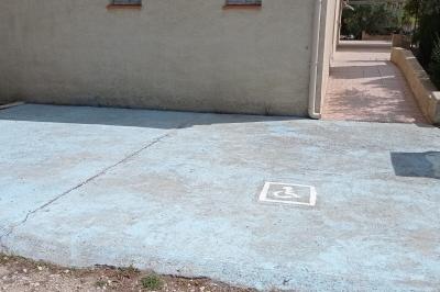 Un jardin avec un arbuste central, des arbres en pot, une clôture en bois et des ombres projetées au sol.