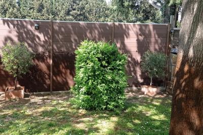 Un jardin avec un arbuste central, des arbres en pot, une clôture en bois et des ombres projetées au sol.