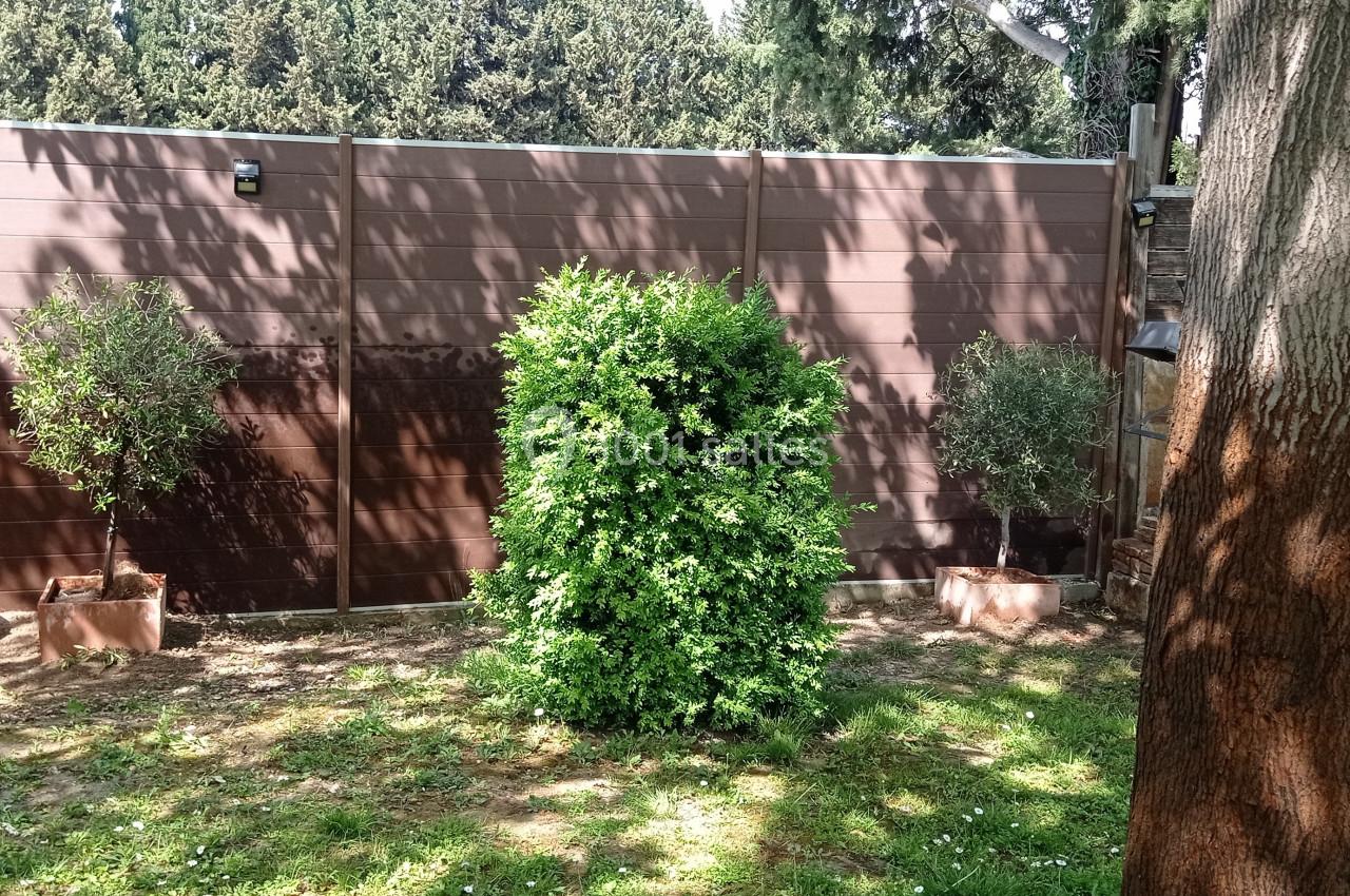 Un jardin avec un arbuste central, des arbres en pot, une clôture en bois et des ombres projetées au sol.