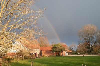Ferme Holleken Hoeve Ferme Holleken Hoeve