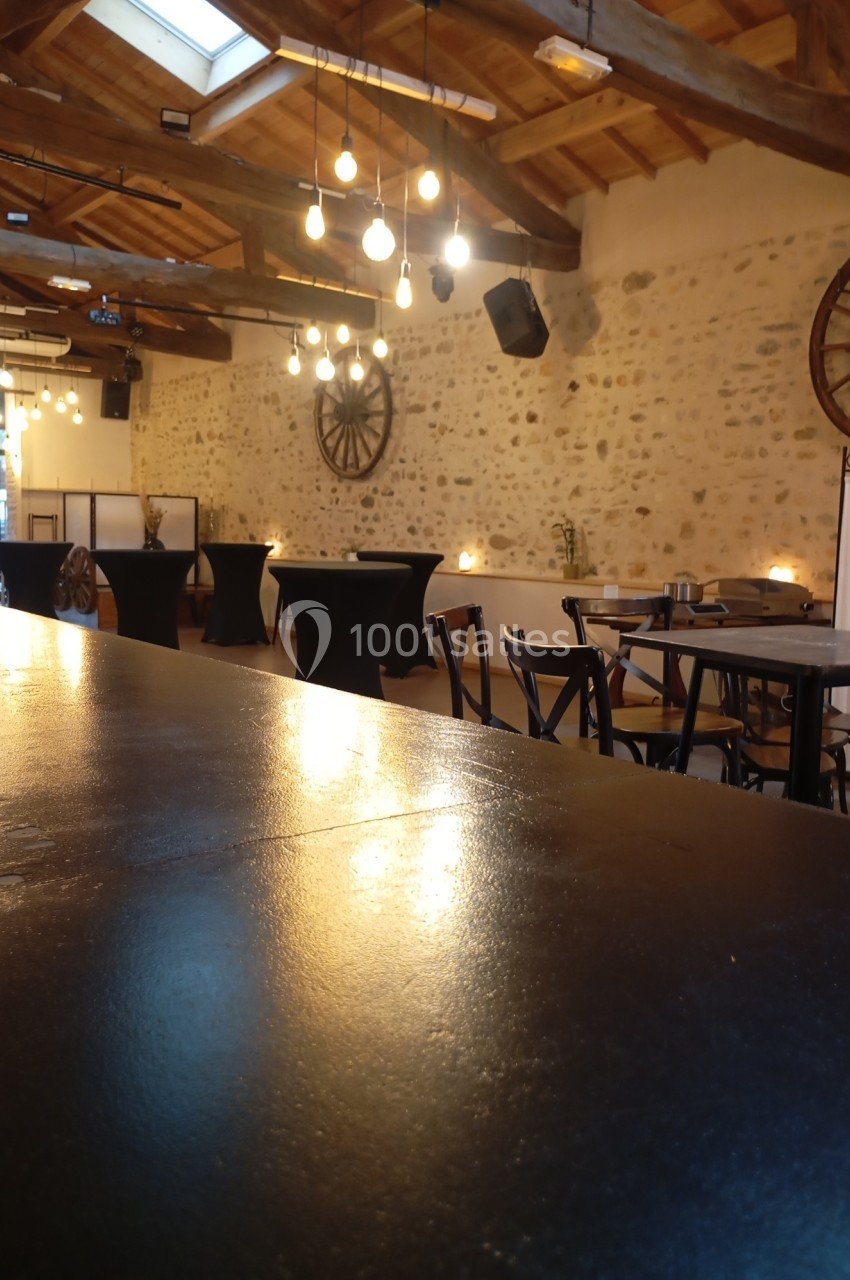 Location salle Saint-Hilaire-du-Rosier (Isère) - La Grange #6