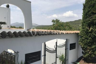 Verrines colorées et cocktails fruités disposés sur une table lors d'un événement ou d'une réception.