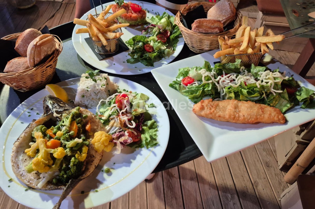Assiettes de poissons et fruits de mer garnis de salades et légumes, paniers de pain et frites sur table en bois en terrasse.