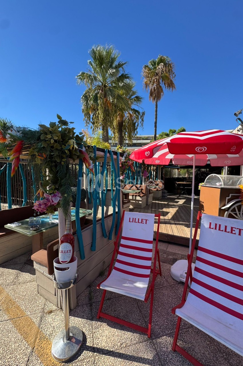 Terrasse ensoleillée avec chaises longues à rayures rouge et blanc, parasol rouge, palmiers et décoration florale sous ciel bleu.