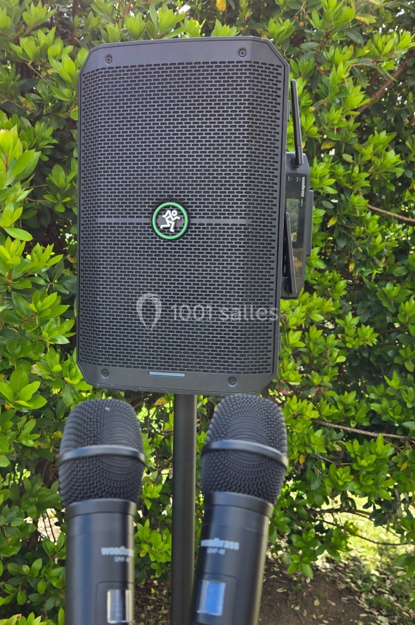 Deux microphones noirs sur pied devant une enceinte portable noire, avec des buissons en arrière-plan.