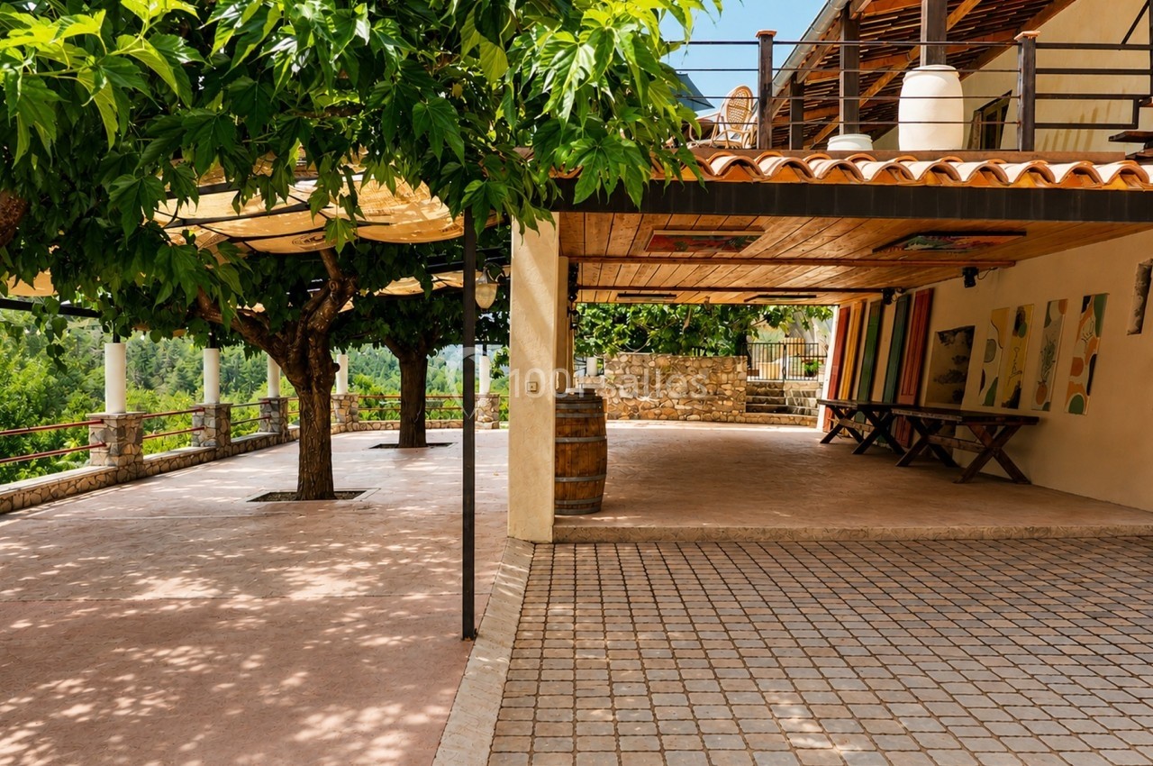 Terrasse ombragée avec arbres, pergola en bois, tables et tonneau, donnant sur un paysage verdoyant.