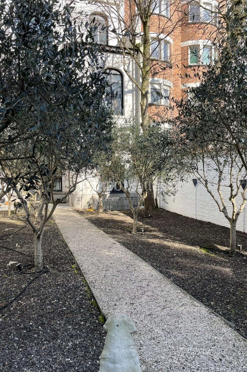 Allée gravillonnée bordée d'arbres dans une cour intérieure avec façade en briques et murs blancs en arrière-plan.