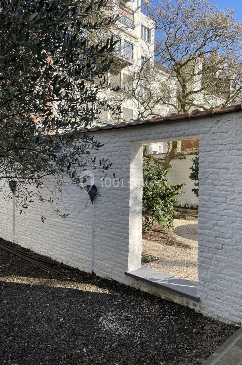 Mur blanc avec une ouverture donnant sur un jardin arboré, éclairé par une lumière naturelle.