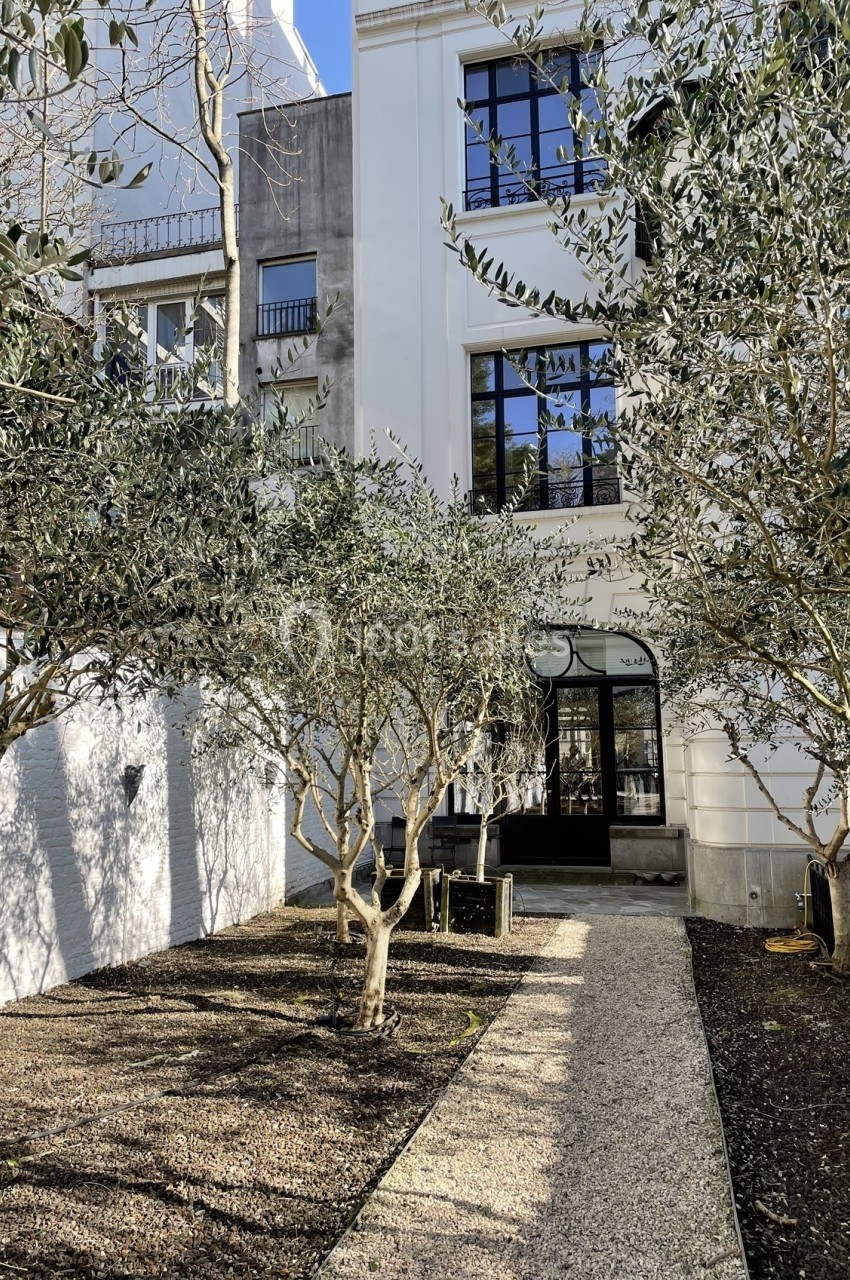 Façade d'un immeuble moderne blanc avec de grandes fenêtres, entourée d'oliviers dans une cour ensoleillée.