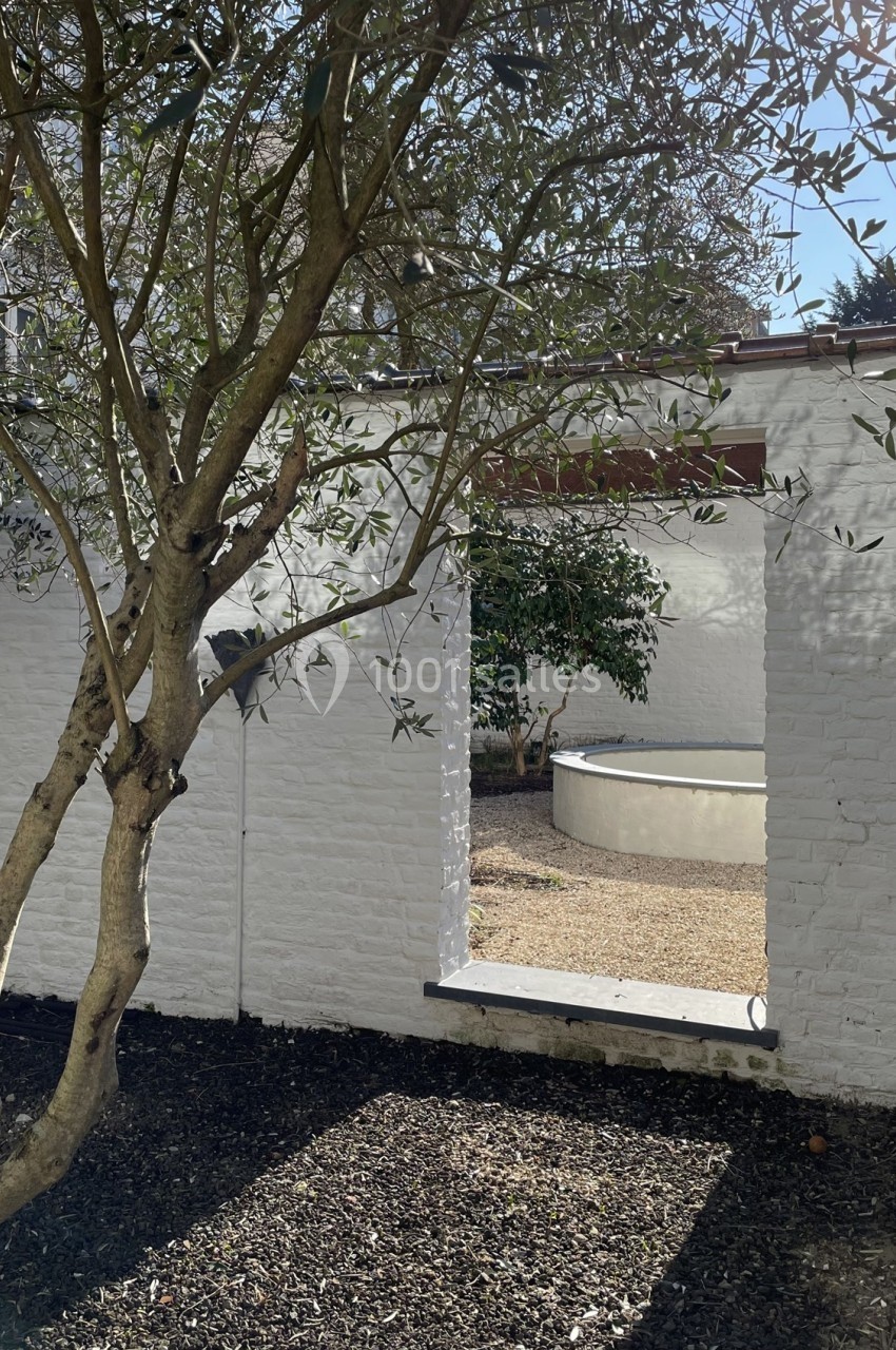 Arbre devant un mur blanc avec une ouverture donnant sur une cour ensoleillée et un petit bassin rond.