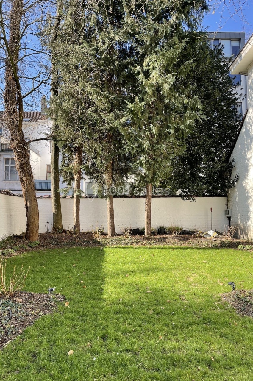 Jardin avec pelouse, parterres de terre, arbres et mur blanc en arrière-plan sous un ciel dégagé.