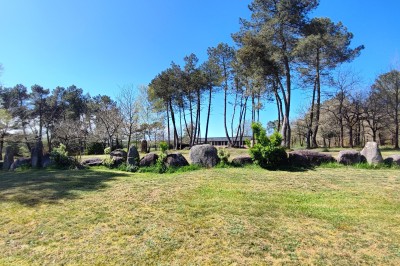 Miniature Location salle Saint-Guyomard (Morbihan) - Domaine de Ker Léon #41 Espace extérieur avec tables hautes noires sur une pelouse, devant un bâtiment vitré et un comptoir en bois.
