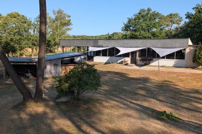 Clôture en bois dans un champ ensoleillé, partiellement ombragée par des branches d'arbres au premier plan.