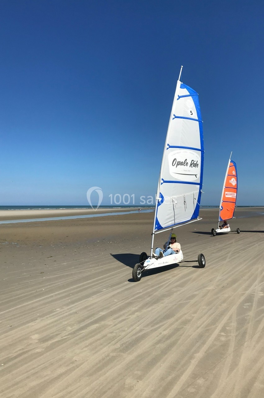 Personnes pratiquant le char à voile sur une plage de sable sous un ciel bleu dégagé.