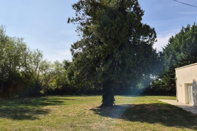Un jardin avec pelouse, arbres et un bâtiment beige à gauche sous un ciel partiellement nuageux.
