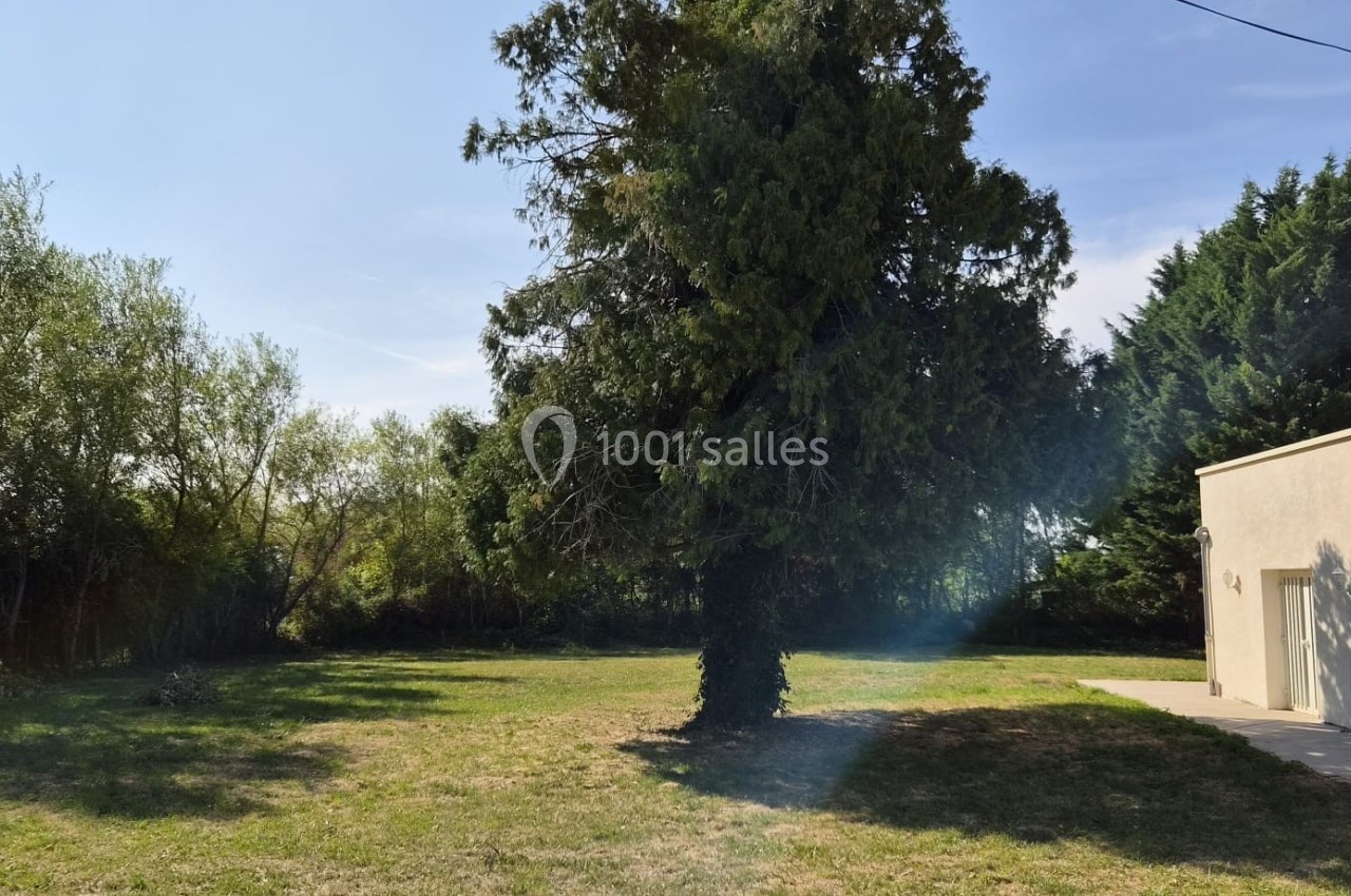 Un grand arbre au centre d'un jardin herbeux, bordé de végétation et d'une maison blanche sur la droite.