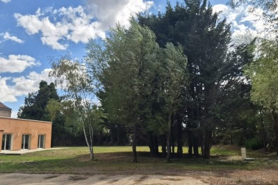 Un jardin avec pelouse, arbres et un bâtiment beige à gauche sous un ciel partiellement nuageux.