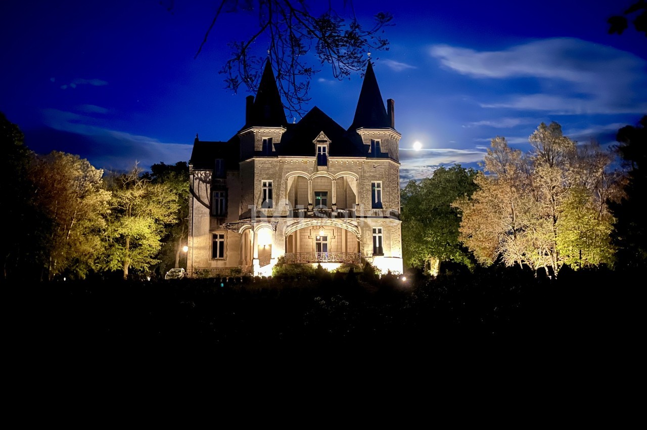 Château de pierre aux tours pointues illuminé la nuit, entouré d'arbres éclairés en jaune.