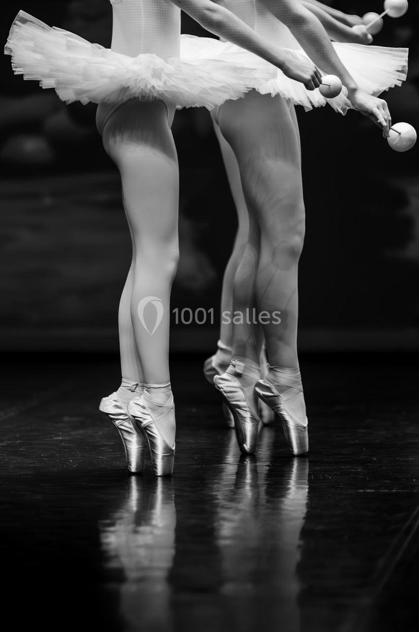 Danseuses en tutu sur pointes tenant des accessoires ronds, alignées sur une scène sombre.